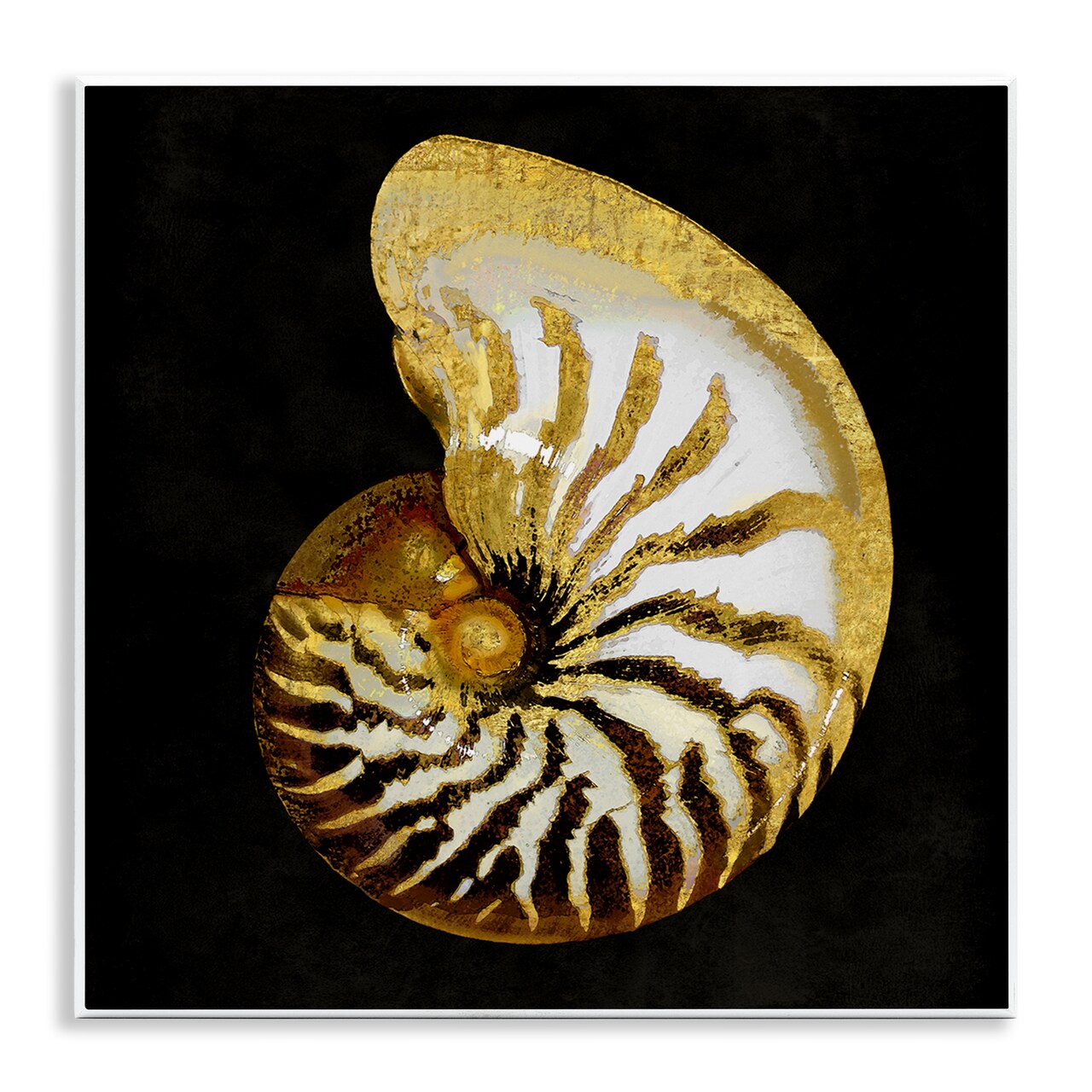 Stupell Industries Spiral Patterned Shell Wall Plaque Art Design by Caroline Kelly